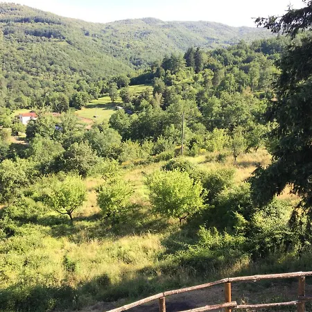 Villa Relax In Tuscany *