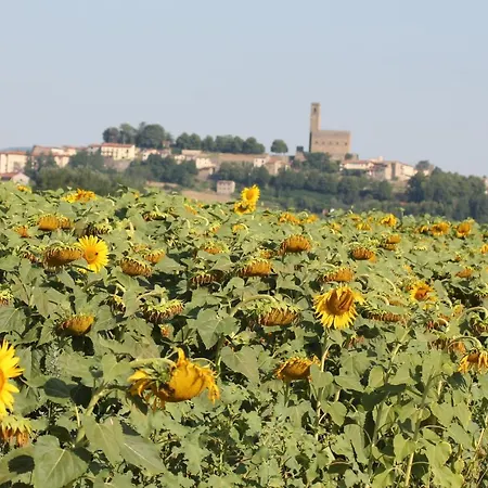 Villa Relax In Tuscany *