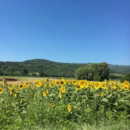 Relax In Tuscany