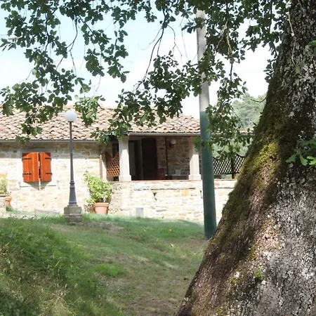 Relax In Tuscany Villa