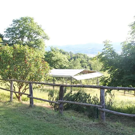 Relax In Tuscany *