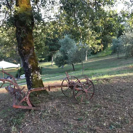 Villa Relax In Tuscany *