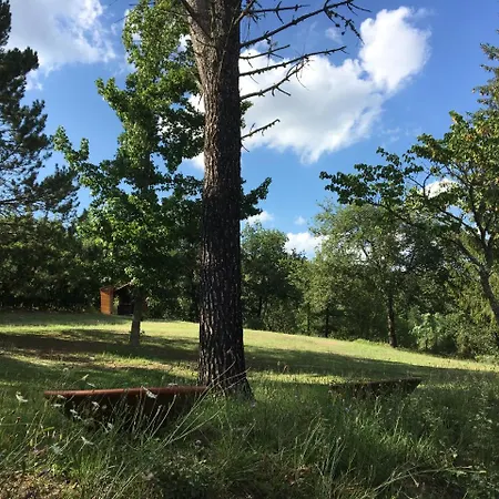 Relax In Tuscany Villa